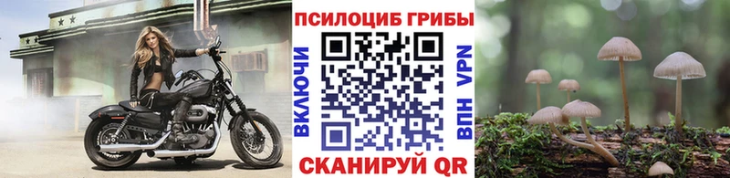 Галлюциногенные грибы ЛСД  Купить закладки  Кубинка 