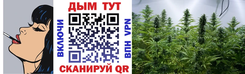 Купить  Кубинка  Бошки марихуана ГИДРОПОН 